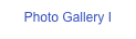 Photo Gallery I