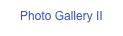 Photo Gallery II