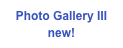 Photo Gallery III
new!